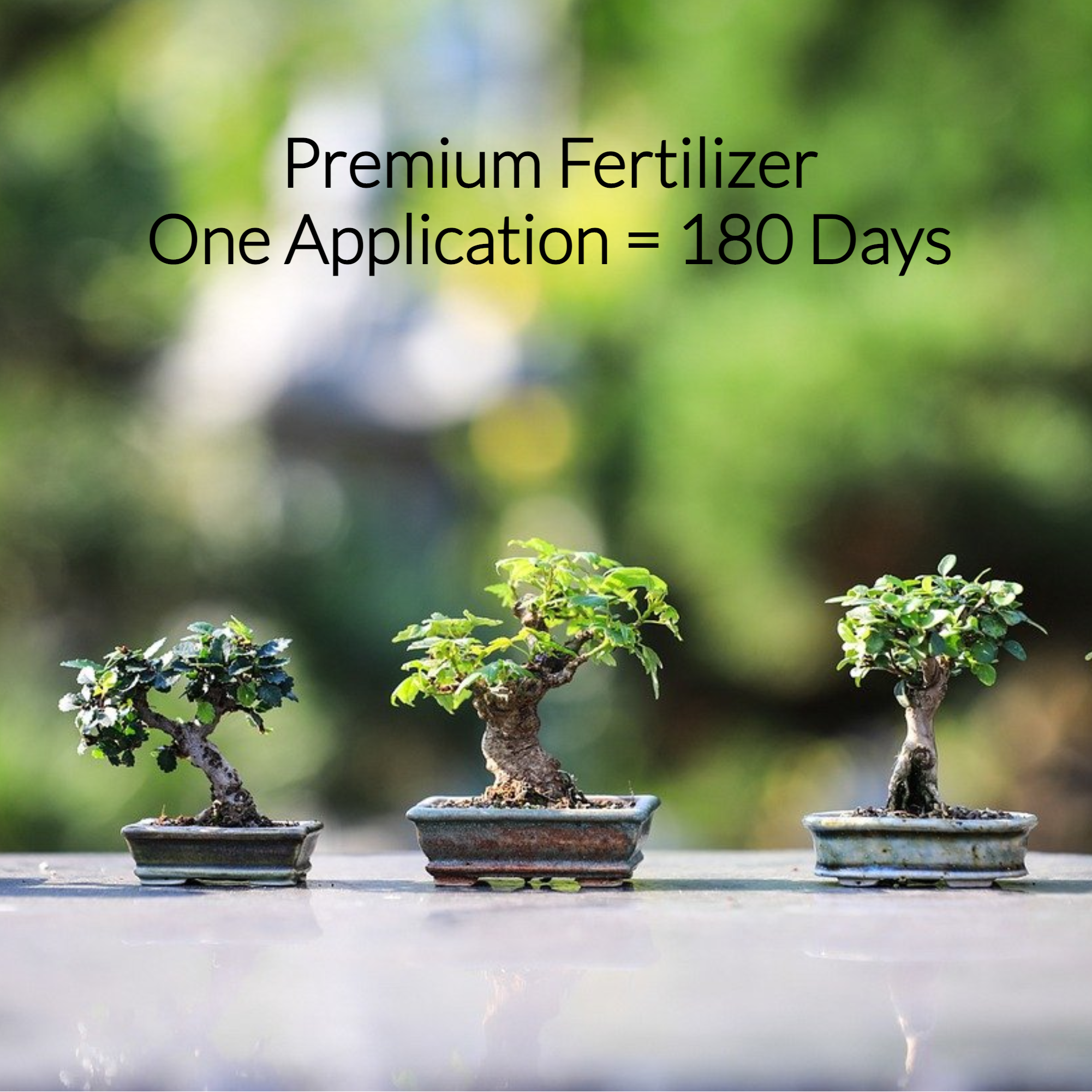 Bonsai Fertilizer Pellets | 18-6-8 Slow Release