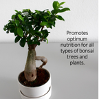 Bonsai Fertilizer Pellets | 18-6-8 Slow Release