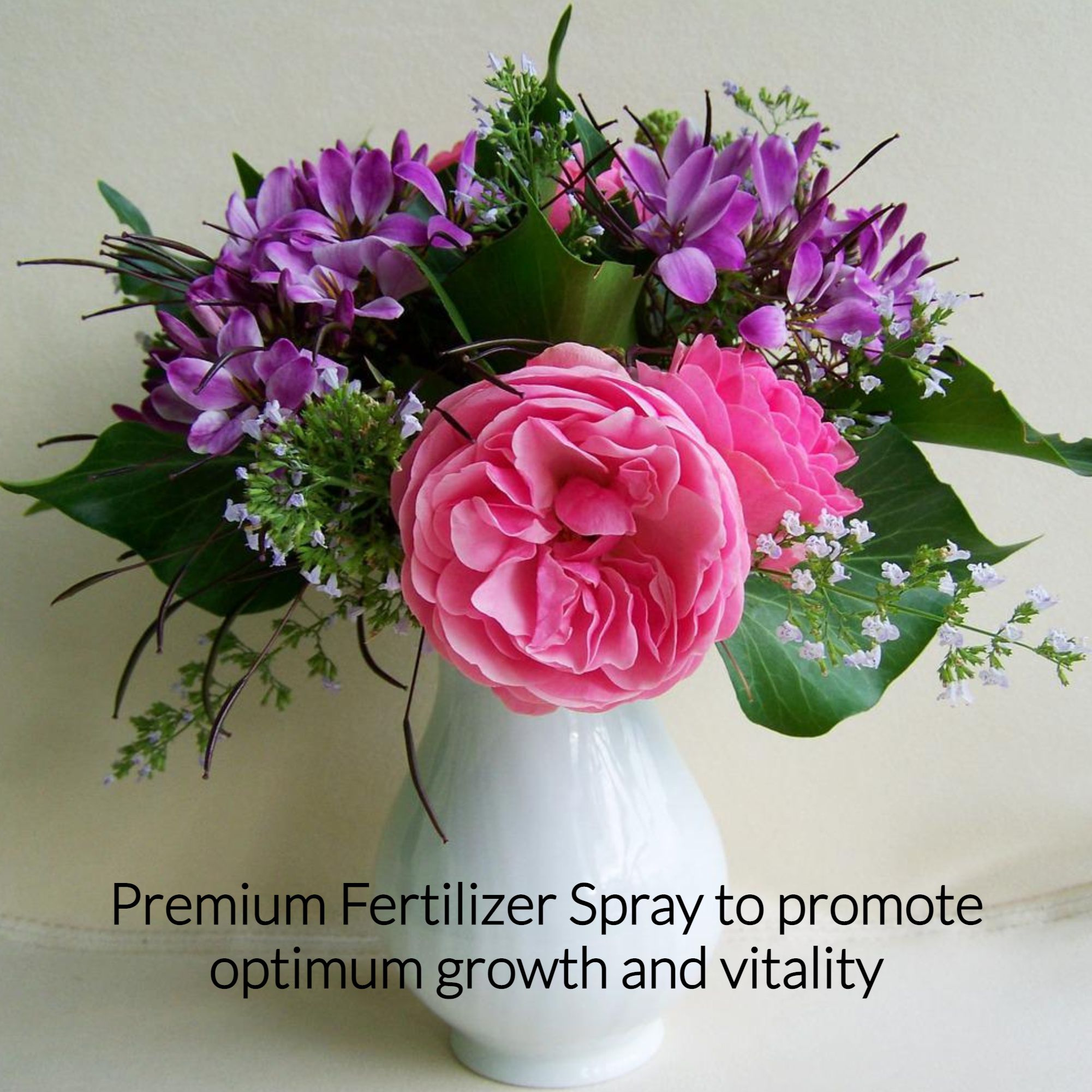 Professional Cut Flower Pump Spray Fertilizer Mist 8oz.