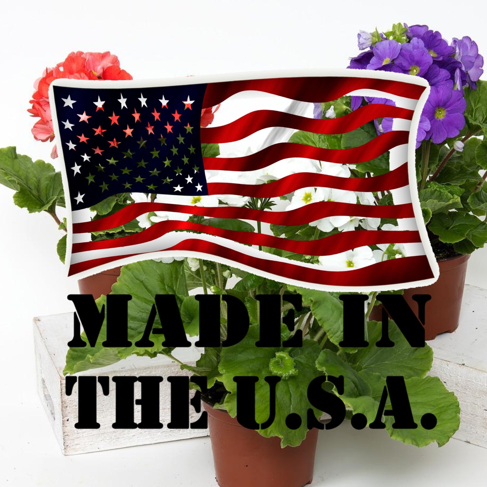 Professional Liquid Money Tree Fertilizer